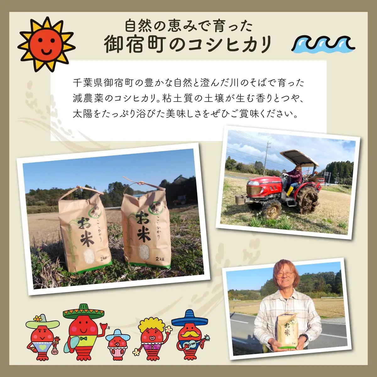 みのやファーム耕作放棄地解消応援米　こしひかり　2ｋｇ（白米）ONJF001