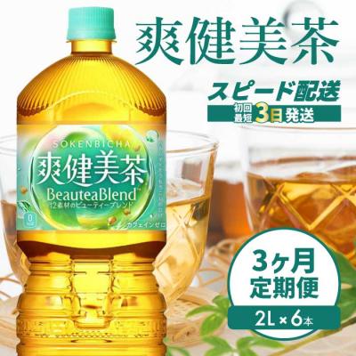 ふるさと納税 三原市 【定期便3か月】爽健美茶2L PET 6本セット(1ケース) [014-064]