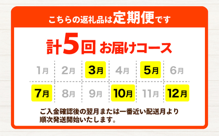 【年5回コース定期便】【数量限定】合志の旬のお野菜10〜12品目【一般社団法人クラッシーノこうし】[AYAB020]