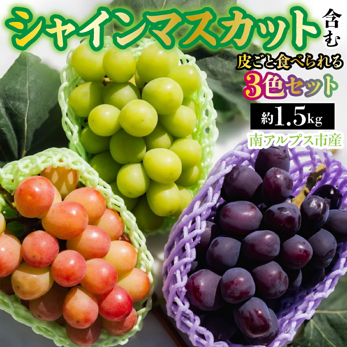 【ふるさと納税】 【2026年発送先行予約】南アルプス市産　シャインマスカット含む 皮ごと食べられる3色ぶどうセット　約1.5kg ふるさと納税 葡萄 ぶどう 果物 フルーツ おすすめ 山梨県 南アルプス市 送料無料 ALPDD024