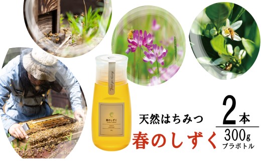 春のしずく2本セット 合計600g (300g×2本) 百花蜜 はちみつ 蜂蜜 ハチミツ ミツバチ みつばち 蜜蜂 小分け 小分 便利 鹿児島 鹿児島県産 薩摩川内市 ふるさと納税 ASR-8109