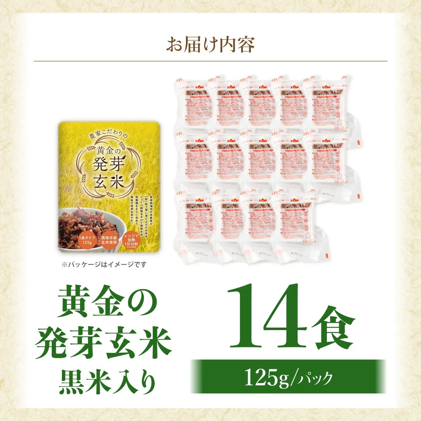 パックご飯 玄米 125g×14食 [CGV002] 米