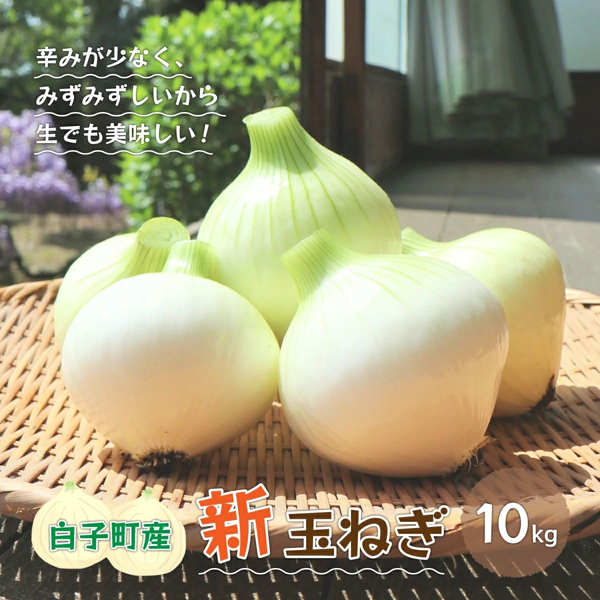 【令和7年の先行予約募集・数量限定】生で食べても美味しい！白子産の新玉ねぎ10kg SHK001