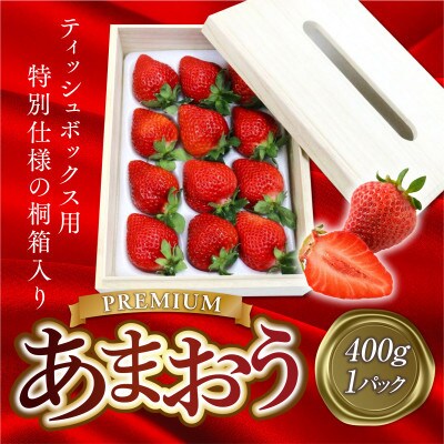 【先行受付】ティッシュボックス用特別仕様の桐箱入りプレミアムあまおうEX400g×1パック(宇美町)【配送不可地域：離島】