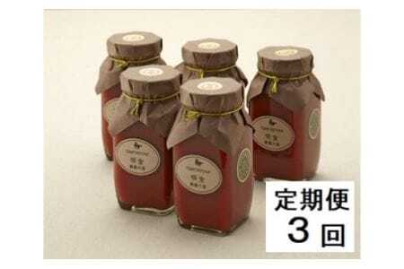 【定期便・全3回】 明宝トマトケチャップ5本セット ケチャップ トマト ケチャップ トマト ケチャップ