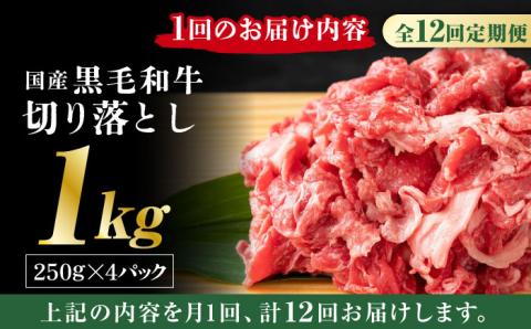 【12回定期便】熊本県産 黒毛和牛 切り落とし 計約1kg (約250g×4P)【有限会社九州食肉産業】 小分け 国産 A4 A5 山鹿 [ZDQ034]