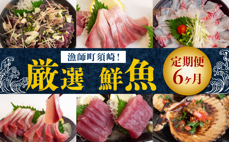 6ヶ月 定期便 旬 魚 刺身定期便 鮮魚