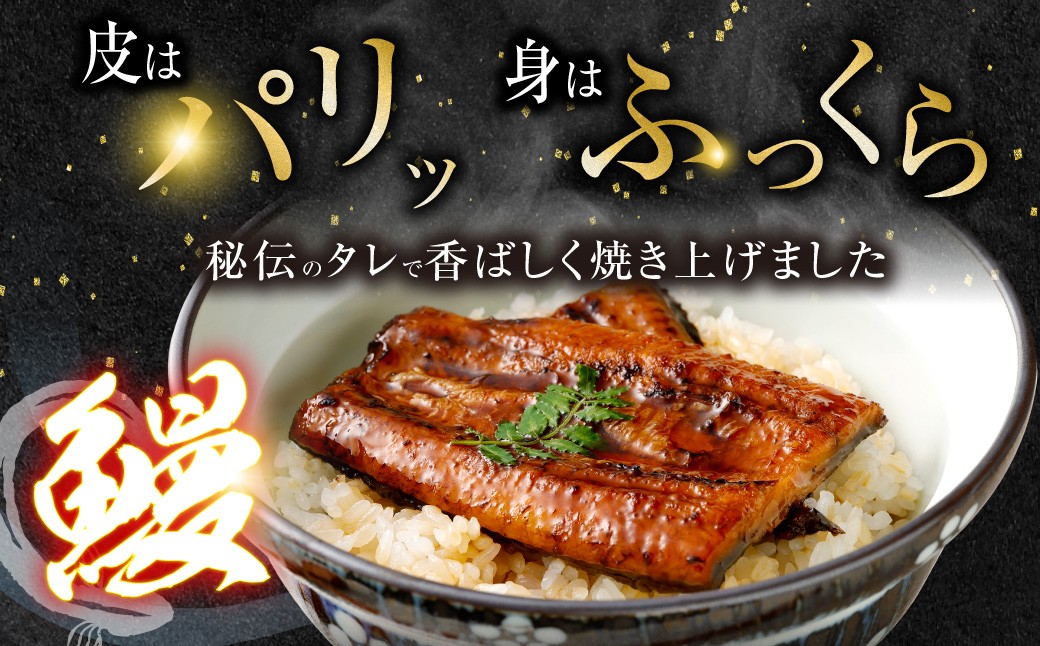 AS-840 九州産うなぎ蒲焼 2尾 食べごたえある2人前