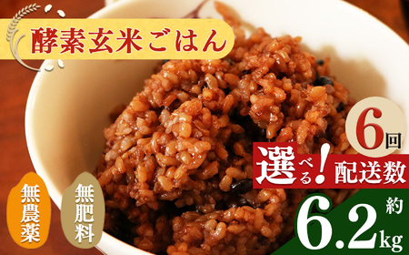 【 定期便 6回 】酵素玄米 ごはん ( 長岡式 ) 約 6.2kg | | 米 こめ コメ 玄米 ごはん げんまい ゲンマ イ 酵素玄米 発酵 美容 健康 酵素 主食 パウチ 冷凍 ヘルシー 米 エミニニ オーガニック ファーム 無農薬 無肥料 小豆 塩 消化がいい アンチエイジング 便秘解消 モチモチ感 オーガニックカフェ イマジン 奈良県 平群町 3日間寝かせた