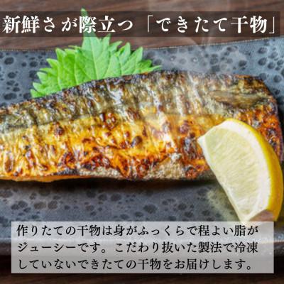 ふるさと納税 いすみ市 できたて干物!!さば6切れ |  | 01