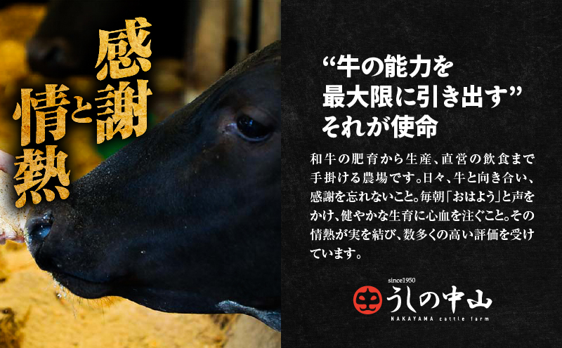 2532-1 【ナカヤマさんちのお肉】手ごねハンバーグ 計4.5kg（150g×30個）　KN050-002-05