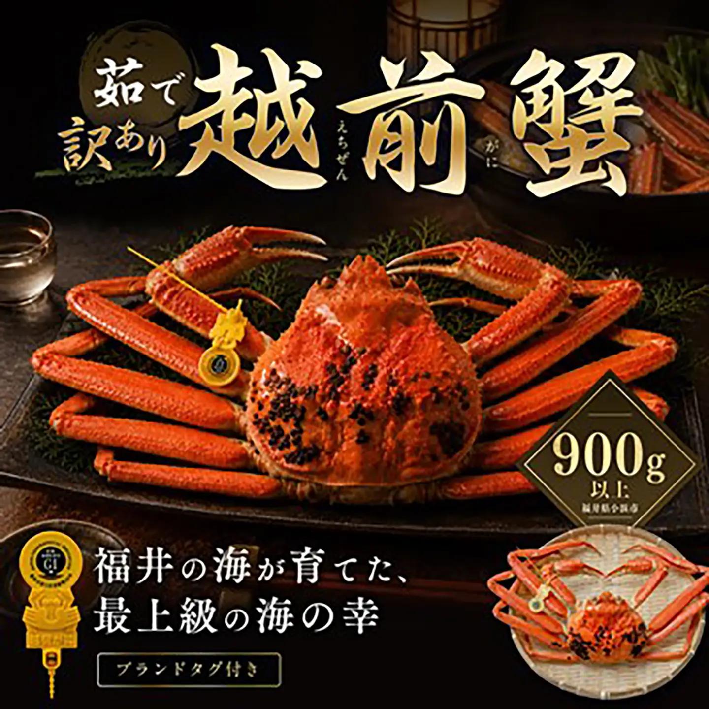 【先行予約/11月18日より順次配送】【訳あり】越前がに 900g×1杯 茹で 福井県産ズワイガニ 脚折れ・欠け / かに カニ 蟹 越前ガニ ズワイガニ ボイル / 小浜市 / 一進わかさ【配送不可地域:北海道・沖縄・離島】[BFES023]