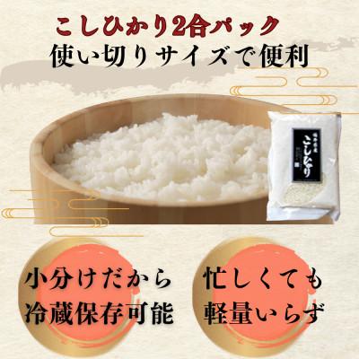 ふるさと納税 小浜市 【福井県産】精米こしひかり2合(約300g)×12パック |  | 01