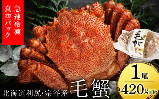 北海道 利尻・宗谷産毛ガニ 小小サイズ（420g前後）1尾＜利尻漁業協同組合＞毛蟹 かにみそ