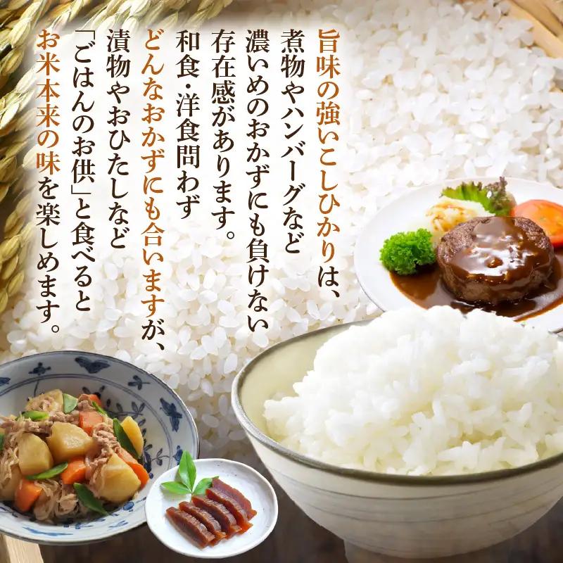 令和7年産  5kg 精米 コシヒカリ 福井県産《14日以内に出荷予定》 [e66-a015]