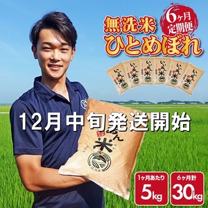 SM0022　12月中旬発送開始／【6回定期便】無洗米ひとめぼれ　5kg×6回(計30kg)　農家直送『いいあん米』AG