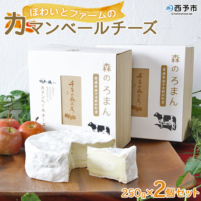 ＜カマンベールチーズ 「森のろまん」 250g×2個 ＞発酵食品 乳製品 加工品 生乳 伯方の塩 おつまみ ワイン おかず ピザ フォンデュ お料理 特産品 箱入り ギフト 国産 愛媛県 西予市