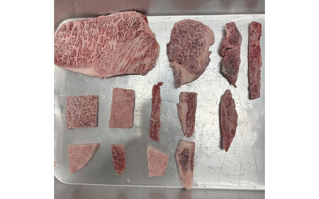 【全12回定期便】【訳あり】佐賀牛 切落し 焼肉 500kg / ブランド牛 黒毛和牛 牛肉 / 佐賀県 / 有限会社片岡精肉店 [41AEAC006]