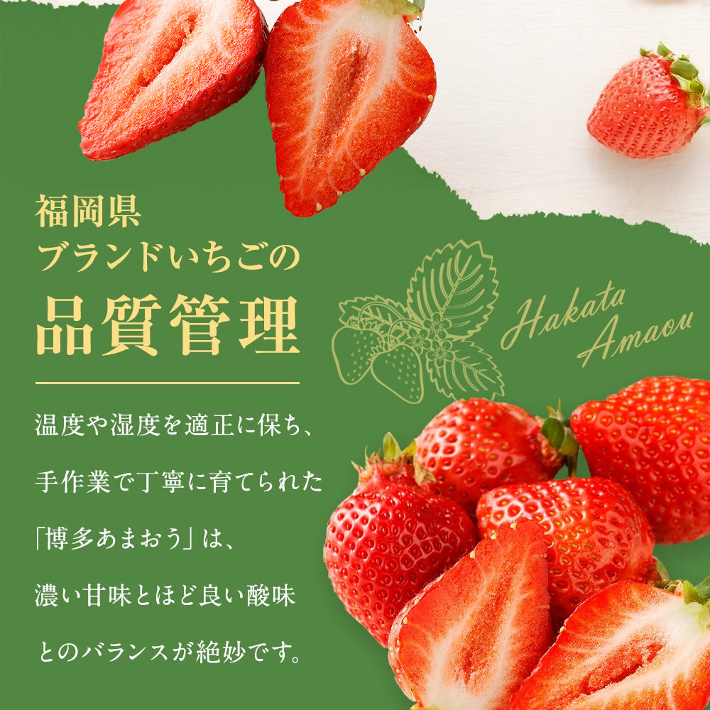 大粒セレクト！大人気のあまおう 約280g×4パック【2024年2月上旬～3月中旬お届け】福岡県産ブランドいちご _KA0275