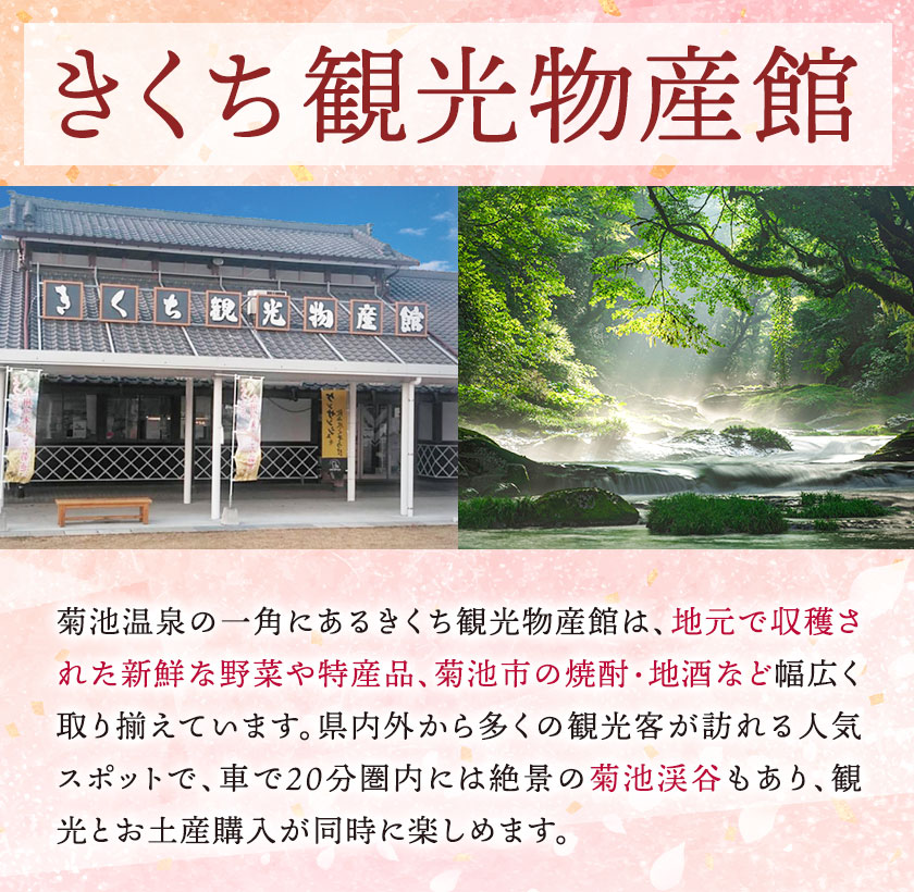 松風 桐箱入り 16 包 有限会社きくち観光物産館《90日以内に出荷予定(土日祝除く)》 熊本県 菊池市 和菓子 お菓子 松風 焼き菓子 伝統銘菓 ギフト 贈りもの 送料無料---004-2427--