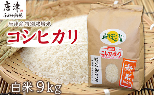 
            【令和7年産 新米】唐津産特別栽培米 コシヒカリ(白米) 4.5kg×2袋(合計9kg) ご飯 コメ お米
          