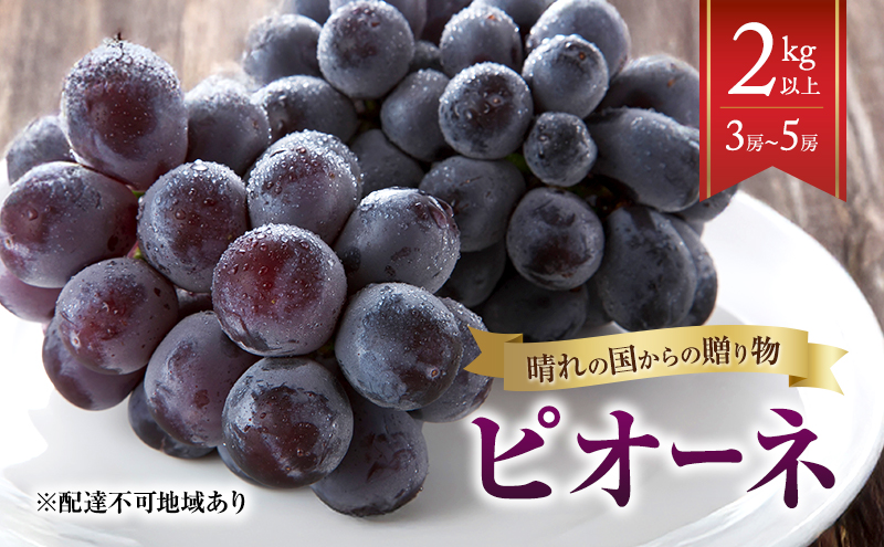 【2026年先行予約】 ぶどう 岡山県産 晴れの国からの 贈り物 ピオーネ 2kg以上（3房～5房） 《2026年8月中旬-9月中旬出荷》 葡萄 フルーツ 果物 スイーツ 数量限定 期間限定 岡山 里庄町
