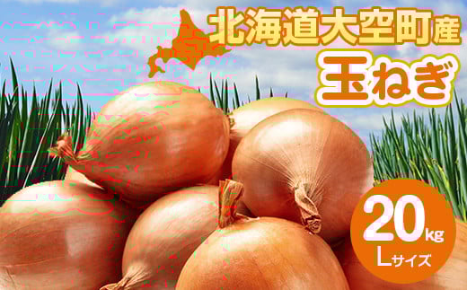 【先行予約】玉ねぎ Lサイズ 20kg 大空町産（2025年10月上旬より発送） 【 ふるさと納税 人気 おすすめ ランキング たまねぎ 玉ねぎ タマネギ 20kg L サイズ 玉葱 バーベキュー オニオン スライス サラダ 焼き肉 野菜 BBQ スープ 肉じゃが 煮物 ハンバーグ すりおろし 甘い カレー 新鮮 北海道産 野菜 旬 北海道 大空町 送料無料 】 OSR009