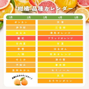 旬の柑橘 詰め合わせ セット 石本果樹園 店主おすすめ 柑橘【min011】