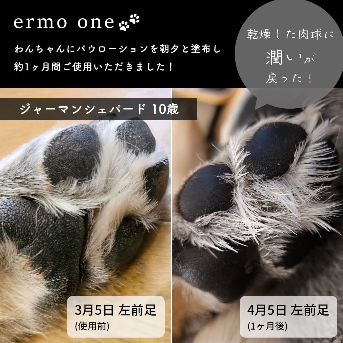 パウローション ermo one (肉球ケア／肉球保湿ローション) 5本セット ｜犬 肉球ケア 肉球クリーム ミスト 犬用ローション 犬用 保湿ローション 犬用保湿剤 乾燥 ひび割れ ケア 保護 いぬ