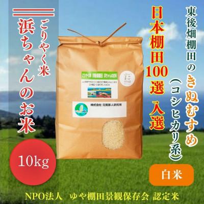 ふるさと納税 長門市 ごりやく米　浜ちゃんのお米「東後畑棚田きぬむすめ」白米10kg棚田米(1357) | 