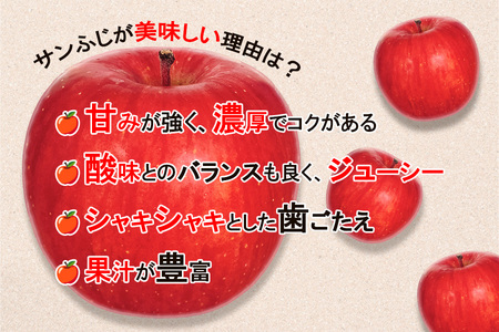 高橋りんご園　贈答用りんご　『サンふじ』5kg　フルーツキャップ付き