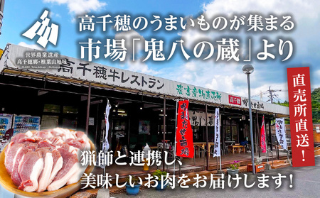 天然猪肉 スライス 700g 宮崎県高千穂町産 ジビエ