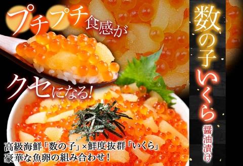 3374. 数の子・いくら醤油漬け 100g いくら イクラ 魚卵 うに ウニ チリ産 冷凍 雲丹 計200g 海鮮 海鮮丼 送料無料 北海道 弟子屈町