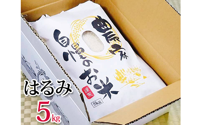 
            湘南藤沢のお米『はるみ』5kg
          