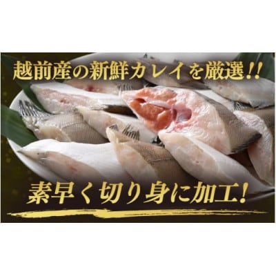 【のし付き】【越前海岸・美味直送シリーズ】肉厚!越前産カレイ切り身　計3kg(1kg × 3袋)【配送不可地域：離島】【1627539】