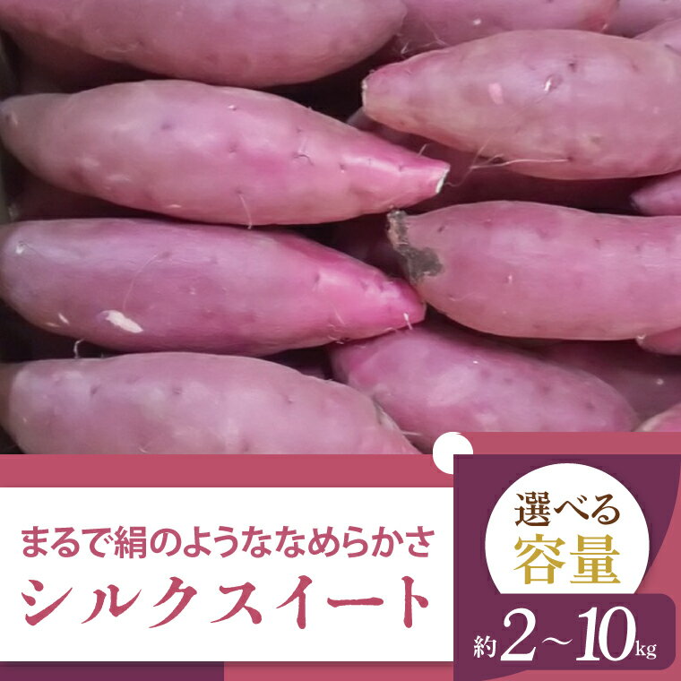 【ふるさと納税】【選べる内容量】【2025年11月より順次発送】2025年度産 まるで絹のようななめらかなさつまいも シルクスイート 約2・5・10kg｜さつまいも 芋 お芋 シルクスイート 渋谷農園 先行予約 茨城県 行方市(BZ-19)
