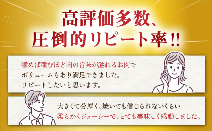 ヒレ ステーキ 長崎和牛 計600g（3～5枚） 牛肉 和牛