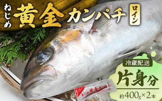 
                  【配送日指定可能】 鹿児島 ねじめ黄金カンパチ ロイン 片身分（約400g×2本）冷蔵便 JF-507 | 魚 直送 養殖 根占 さかな 身が引き締まった かんぱち 漁師 刺身 寿司 しゃぶしゃぶ ぷりぷり食感 鹿児島県 南大隅町 漁業協同組合
                
