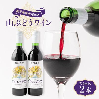 ふるさと納税 南箕輪村 〔信州大学人気No.1〕山ぶどうワイン2本
