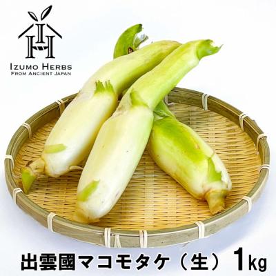 ふるさと納税 出雲市 出雲國マコモタケ(生) 1kg 出雲市産【1_1-049】