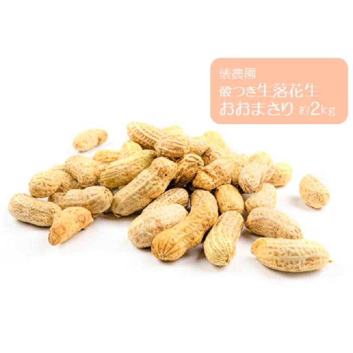 【ふるさと納税】殻つき生落花生 おおまさり 2kg / 俵農園 / 豆 から付き おつまみ