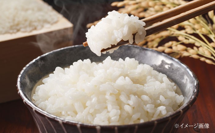 米 ふるさと納税限定 新米 コシヒカリ こめ こしひかり ブランド米 主食 贈答 ギフト おすすめ 人気 岐阜県 恵那市