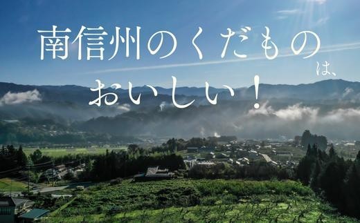選果場では選別のほか、ベテランスタッフが目視でりんごの状態を確認しています。