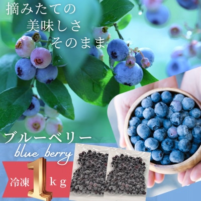 【茨城県産】冷凍ブルーベリー1kg(500g×2パック)【配送不可地域：離島・沖縄県】