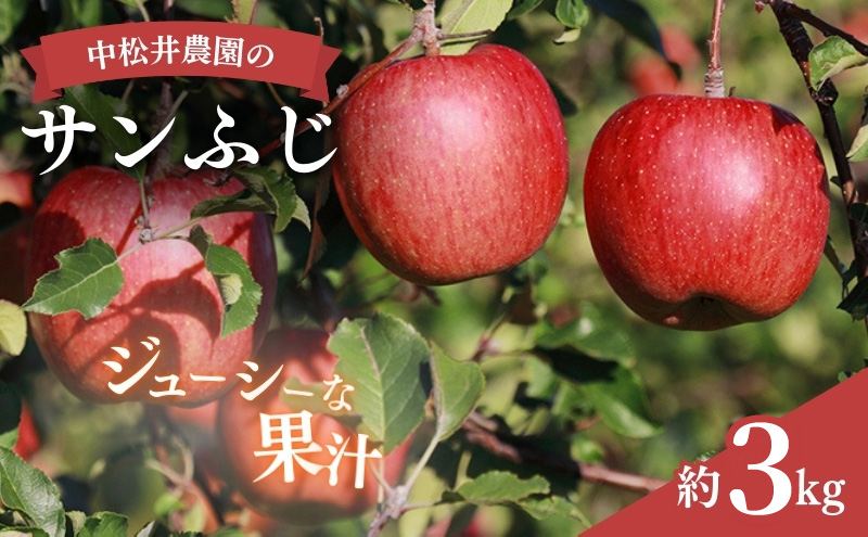 中松井農園のサンふじ　約3kg 長野 小諸 信州 リンゴ 林檎 