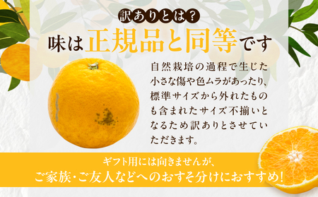 先行予約 訳あり オリジナル ブランド 陽南姫 計3.8kg以上 傷み補償分付き 令和8年発送 フルーツ 果物 くだもの 柑橘 みかん_AAV4-25