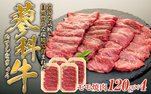 蓼科牛モモ焼肉120g×4　　　　