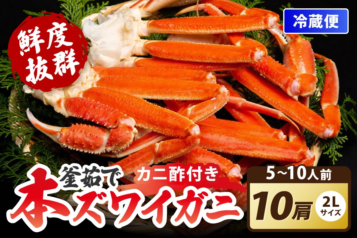 
                  【ゆでたて冷蔵便】大好評！カニ酢付き　厳選！！釜茹で　本ズワイガニ　２Lサイズ10肩　YK00410～YK00410_12e
                