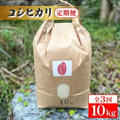 ふるさと納税 五泉市 【毎月定期便】新潟県産コシヒカリ　10kg全3回
