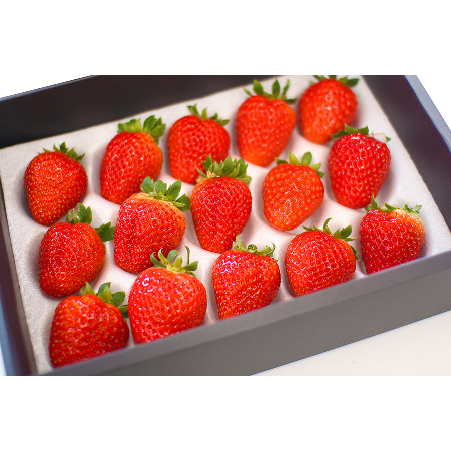 ＜観音山フルーツガーデン＞いちご(特選まりひめ)　30玉